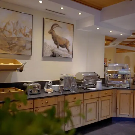 Garni Rifflsee 酒店 3*