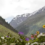 Garni Rifflsee 3* Sankt Leonhard im Pitztal