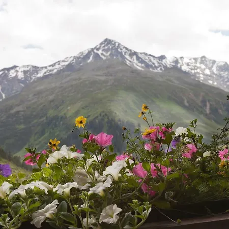 Hotell Garni Rifflsee 3*